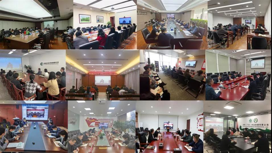 中林集團(tuán)召開(kāi)黨史學(xué)習(xí)教育總結(jié)會(huì)議(圖3) 中林集團(tuán)召開(kāi)黨史學(xué)習(xí)教育總結(jié)會(huì)議(圖3)