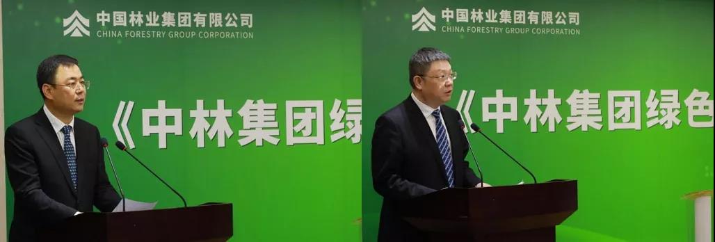 《中林集團綠色高質(zhì)量發(fā)展暨“碳中和”白皮書》發(fā)布(圖4) 《中林集團綠色高質(zhì)量發(fā)展暨“碳中和”白皮書》發(fā)布(圖4)